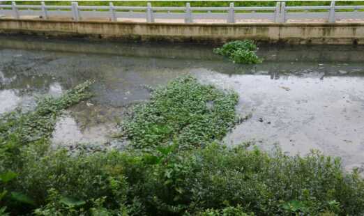 [廣東]河道清淤8寸立式泥漿泵，砂泵廠家直供